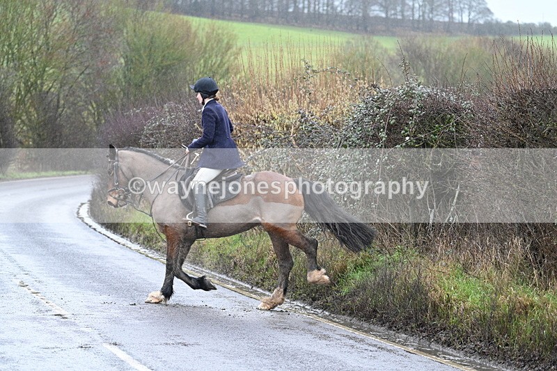 WJ7_6979 - Crossing A Camera