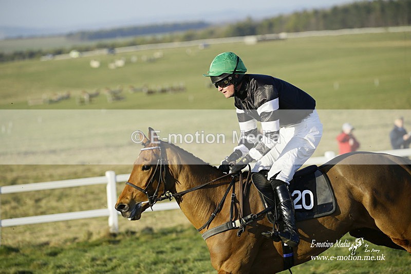 PtP 270222 637 - South & West Wilts Point-to-Point Larkhill 27/02/22