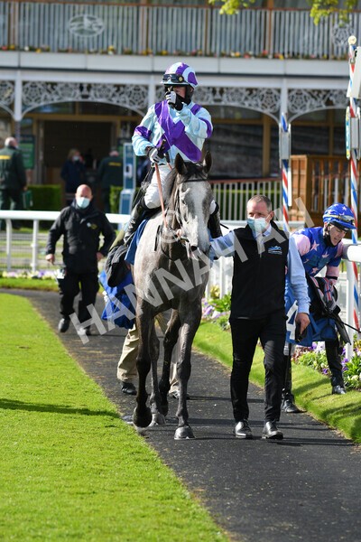 yr22052021r7-53 - Race 7 5.25pm Hudson Quarter York Palace Capital Stakes - Gentleman Amateur Riders Race