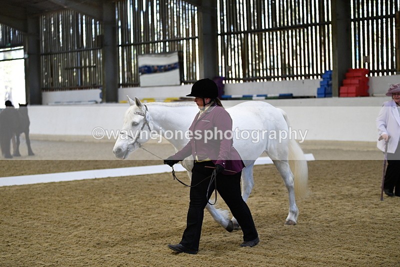 WJ5_3695 - Class 5 In Hand Veterans