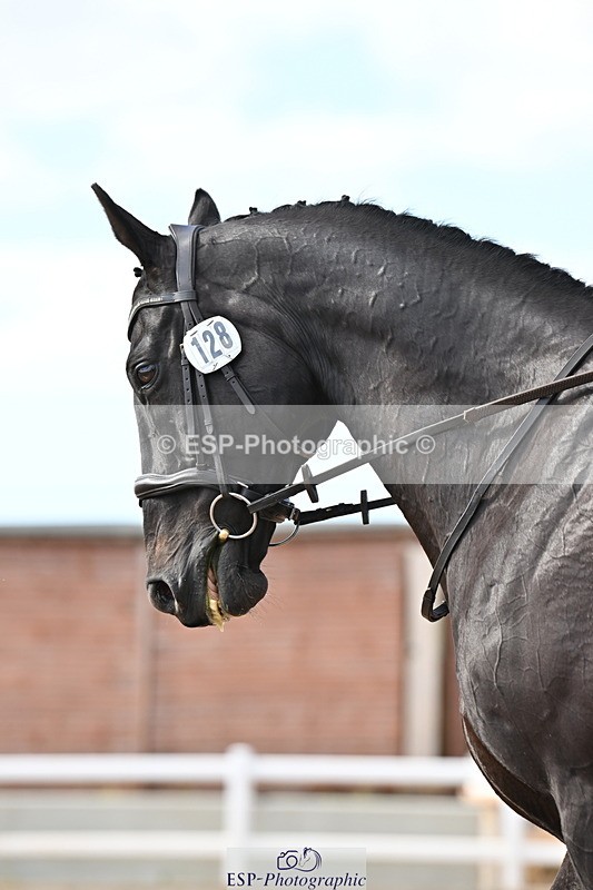 240622A-180435-15468 - Cls 7B+C Elementary 44 RoR