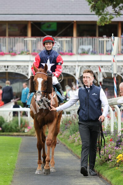 yr04092022r5-42 - Race 5 4.05pm Little Green Rascals Children's Nurseries Stakes