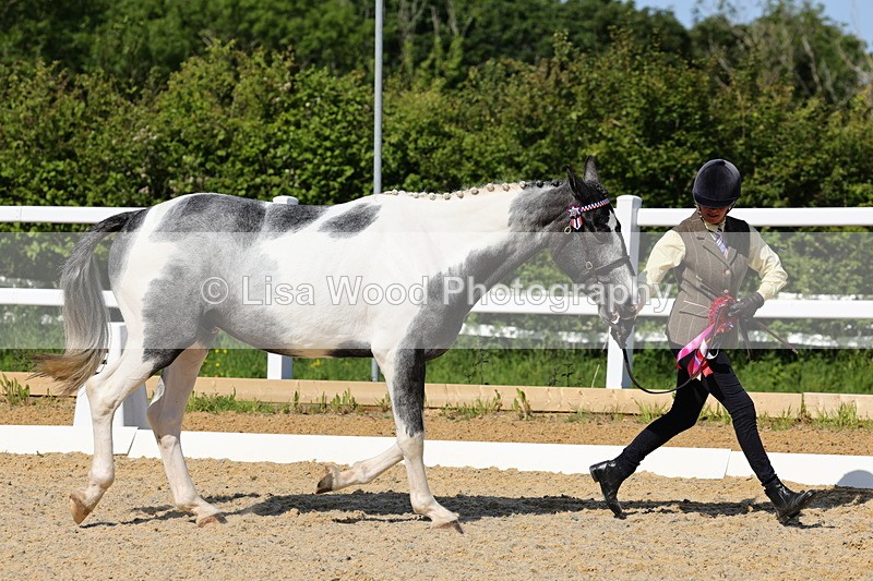 1X9A0819 - Class 4: Youngstock 1, 2, 3 year old to exceed 153cm