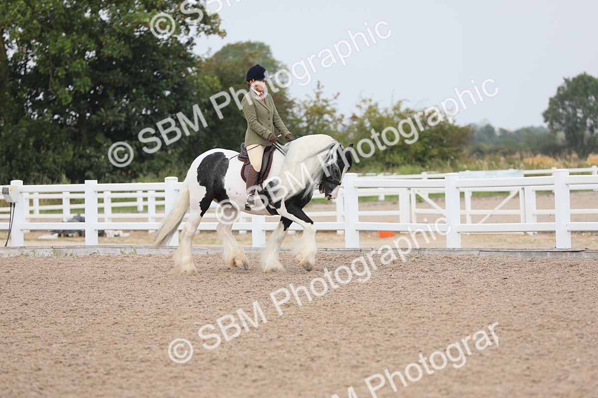 SBM_12674 - Class 307 Ridden Coloured Pony