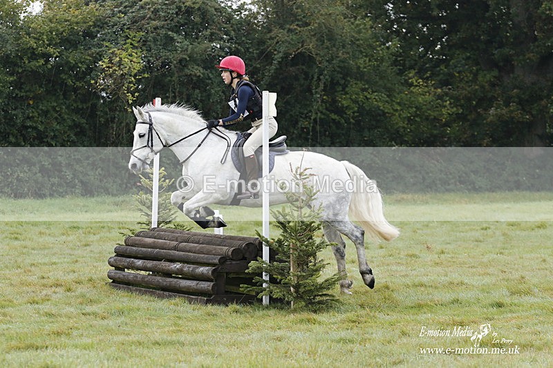 WWHT 171021 0633 - Novice Restricted (0.80m)  17/10/21