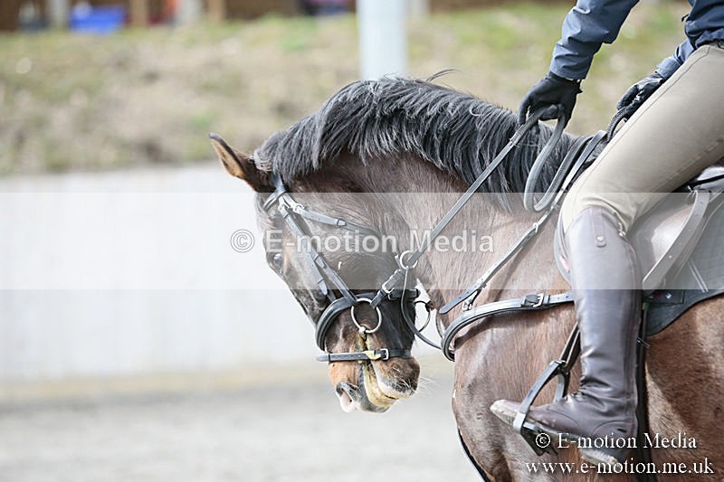 BVRC SJ 170319 642 - Bourne Valley Riding Club Showjumping 17/03/19