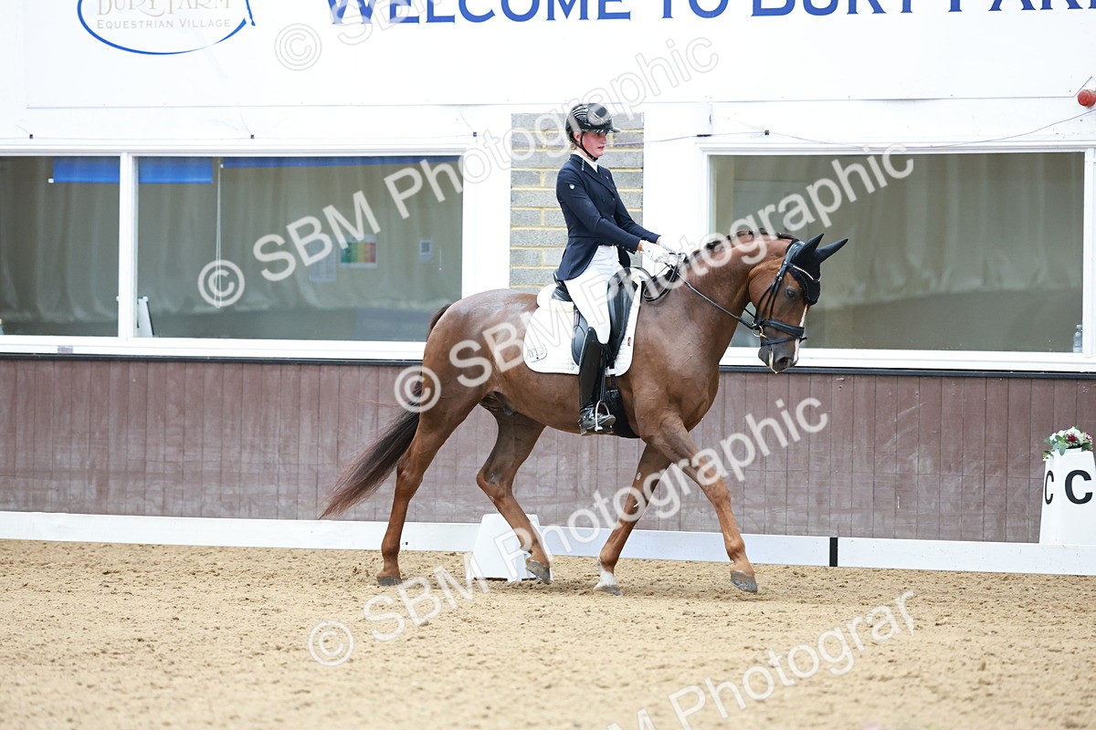 SBM_017983 - Class 15 - FEI Junior