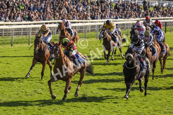 141023-Race 3-Montassib-0410 - Race 3 2.25pm Coral Sprint Trophy Handicap