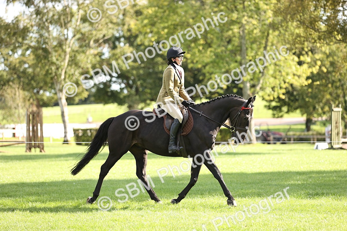 SBM_26352 - S6 - Novice & Newcomers Ridden Horse