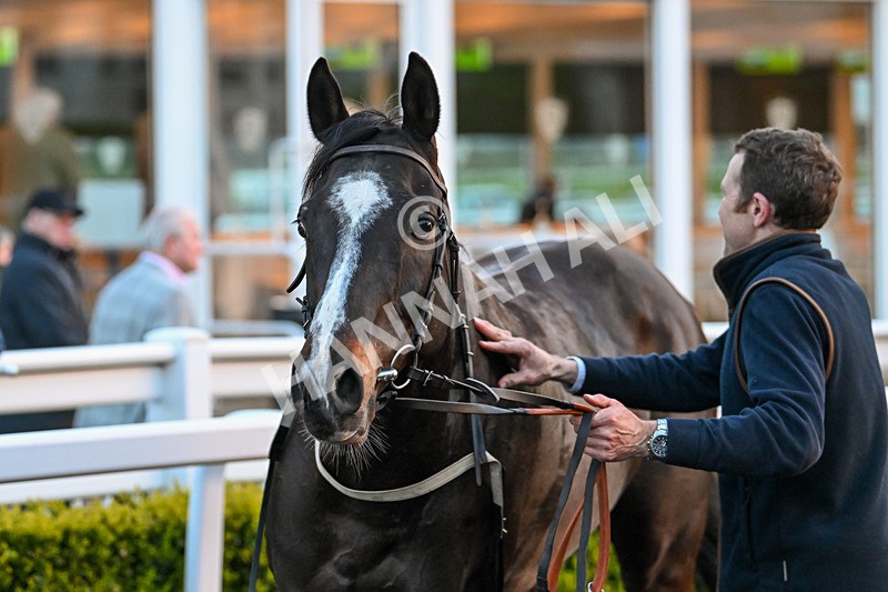 300424-Race 7-Highjacked-3347 - Race 7