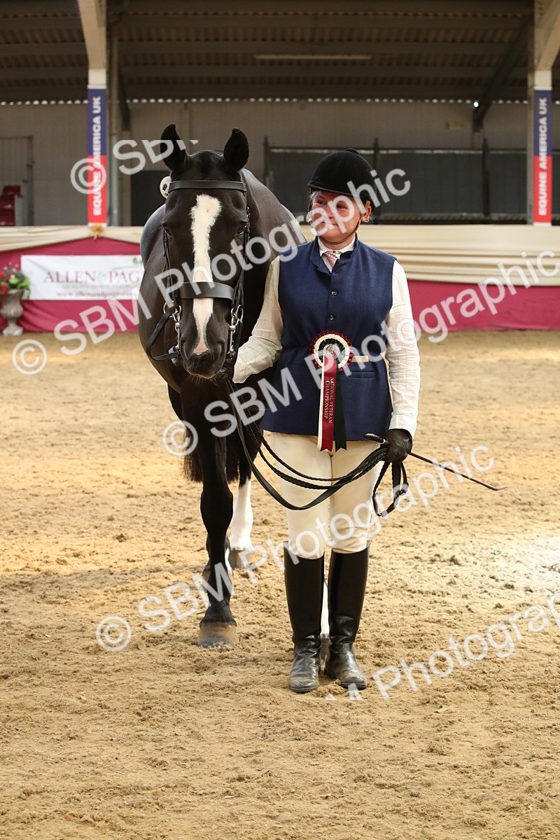 SBM_05438 - Class 8R - Regional IH Veteran