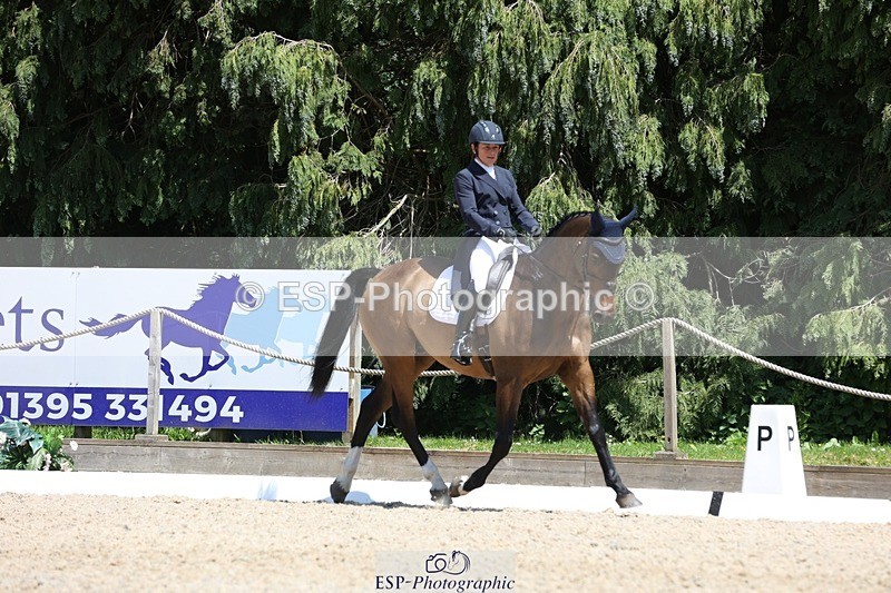 230526-135333-06411 - 369-GIDO_G-Sally_Chamberlain-WEDTrotUp+DR