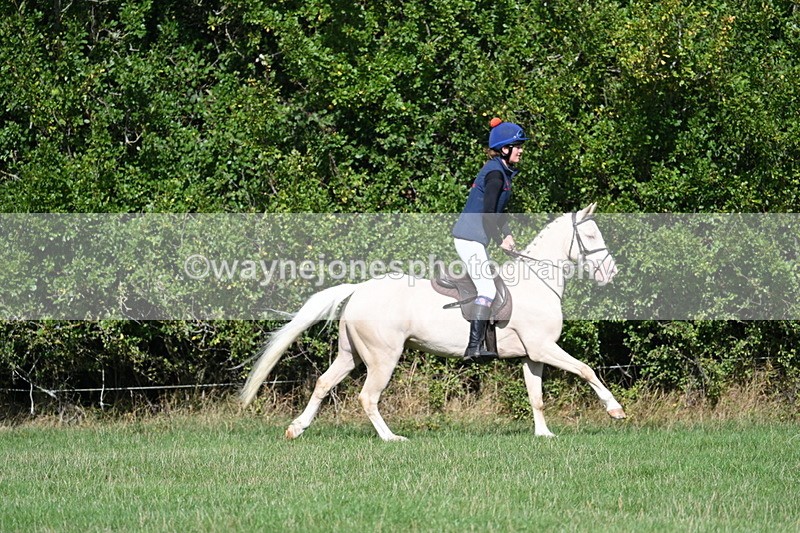 WJ7_8558 - 60cm Pairs