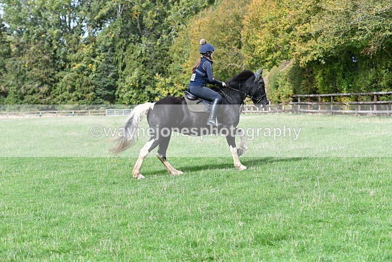 WJ5_9438 - Time 13:03 to 13:25