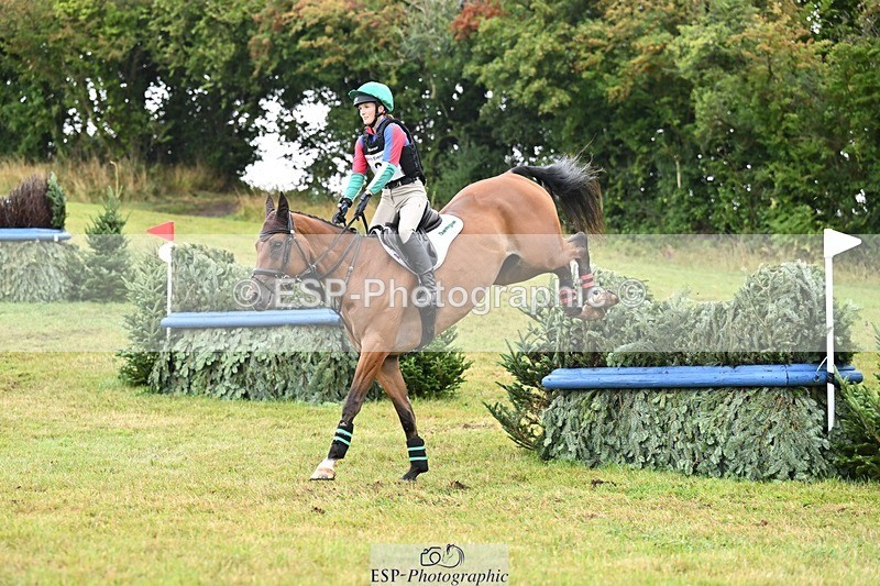 TS_b1231104 - SAT BE 90 Recovered Files fence 8