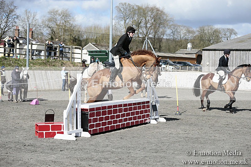 BVRC SJ 170319 325 - Bourne Valley Riding Club Showjumping 17/03/19
