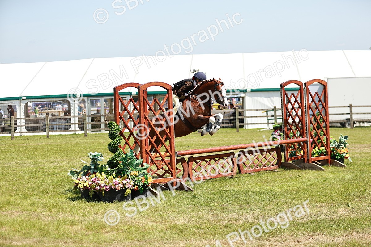 SBM_15585 - Class 108-109 - BSPS LIHS Open Gradle & Nursery Stakes