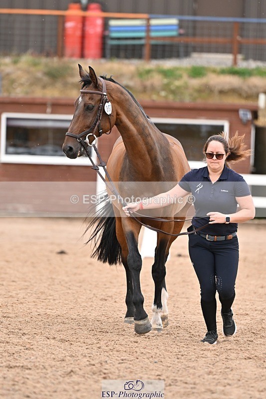 250716-160915-02463 - Trot Up 3.30 to 4.30