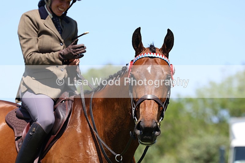 3E7A7543 - Class 31: Working Hunter Cob/Riding Horse