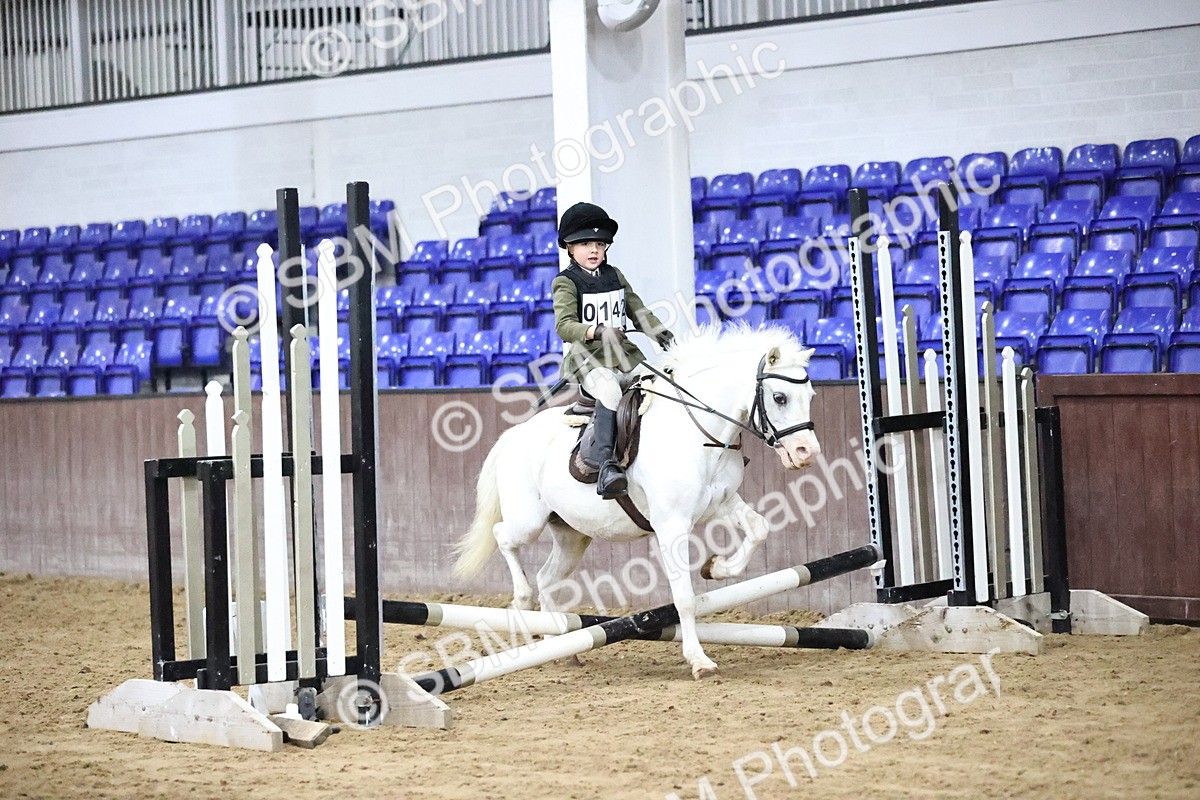 SBM_000133 - Class 2 - The Rug Lady 40cm