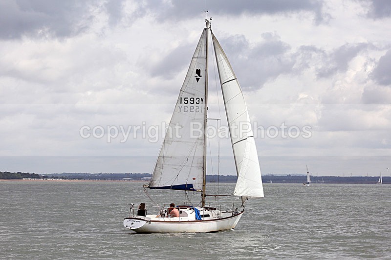 160625 FALCON 15934Y Y92A9242 - Sailboats - monohull