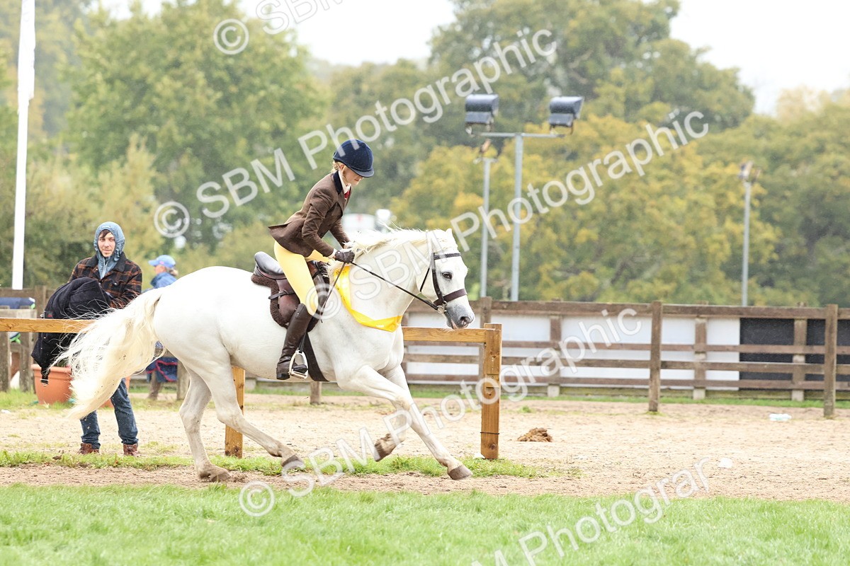 SBM_69768 - S62 - Mountain & Moorland Ridden Large Breeds