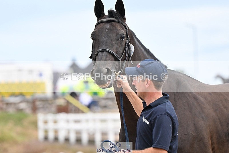 250716-152514-01928 - Trot Up 2.30 to 3.30