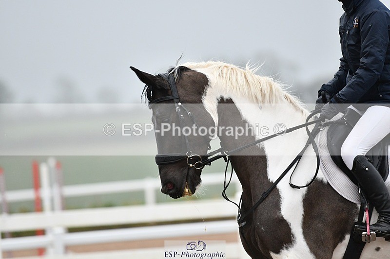 260222-103257-02845 - Class 0 + 15 CR British novice + 90cm