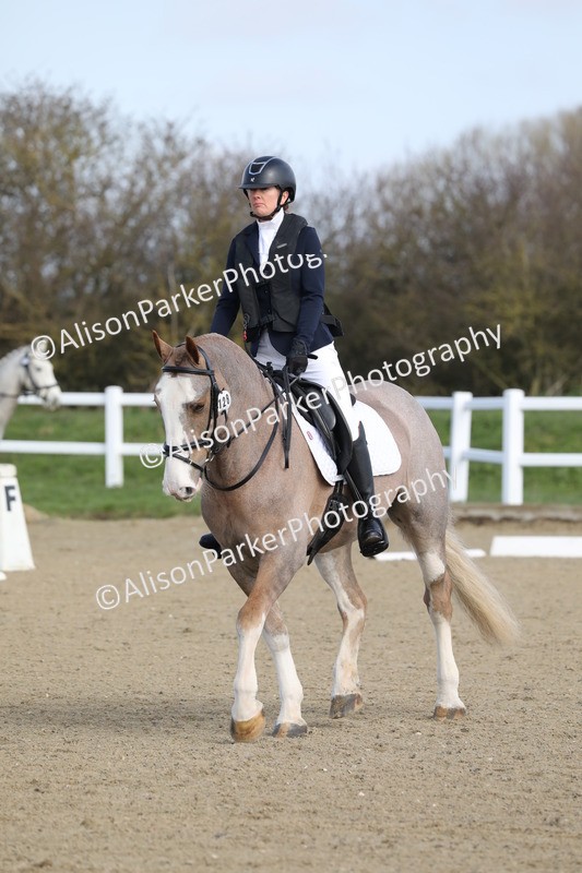 20260314-0315 - DR1 - Intro 1