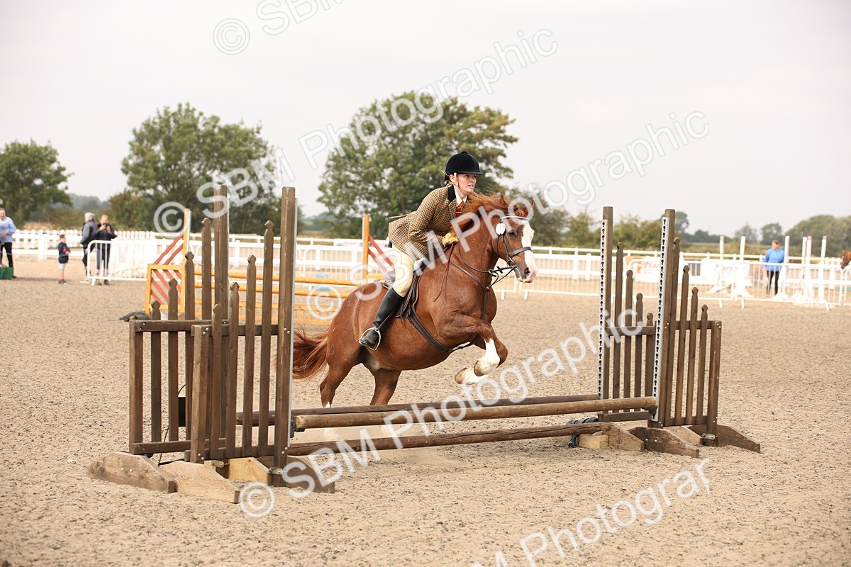 SBM_12267 - Class 405a - M&M Working Veteran 50cm (15-19)