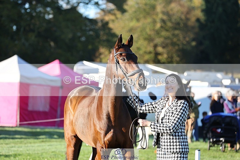 241027-083247-14658 - 390-Pippa.Howell-Phippard-NO.LIMIT.II