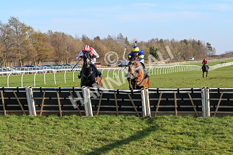 050325-Race 4-Hostile Hotelier-9869 - Race 4