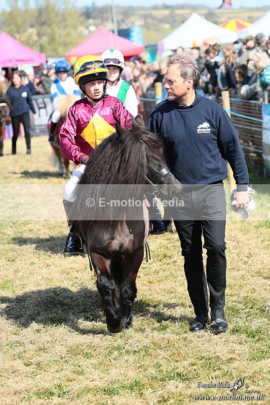 Shet 060426 82 - Shetland Pony Racing Paxford Races Easter Mon 06/04/26