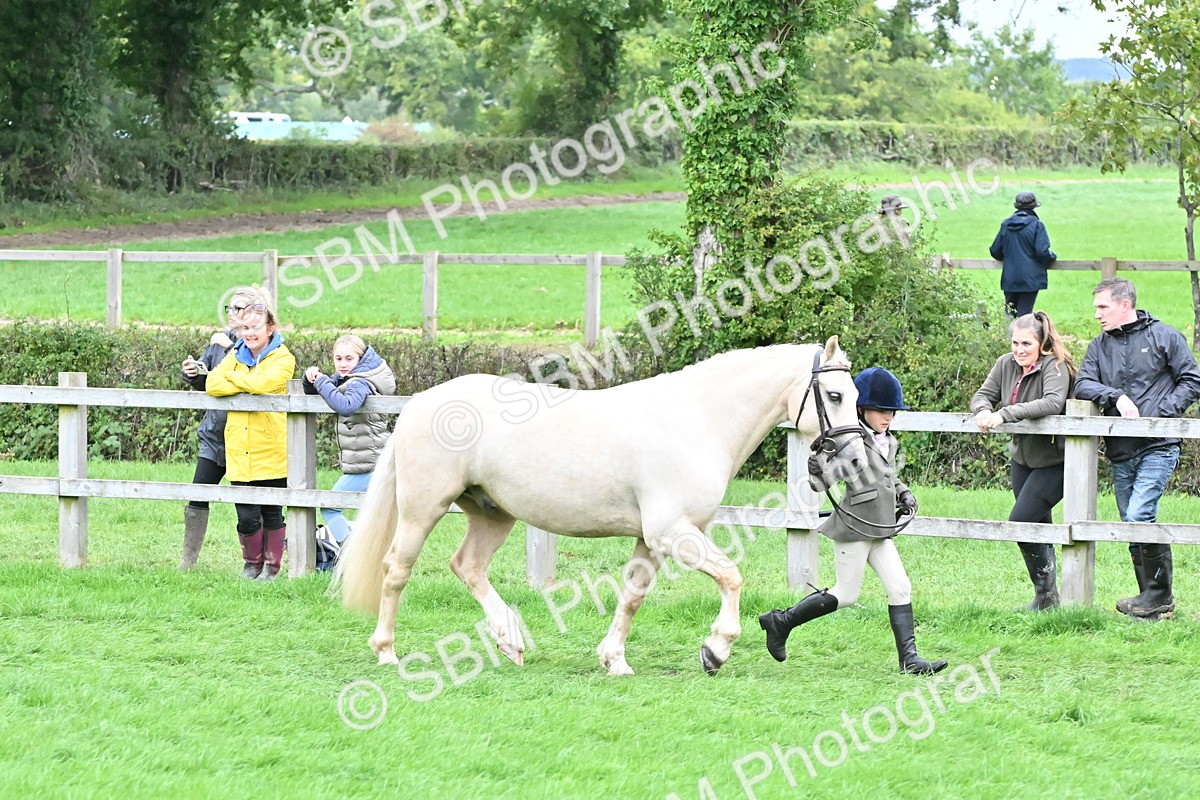 SBM_68568 - S42 - Junior Handler 9-12 Years