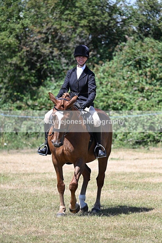 WJ7_2987 - Class 7 Riding Club Show Horse