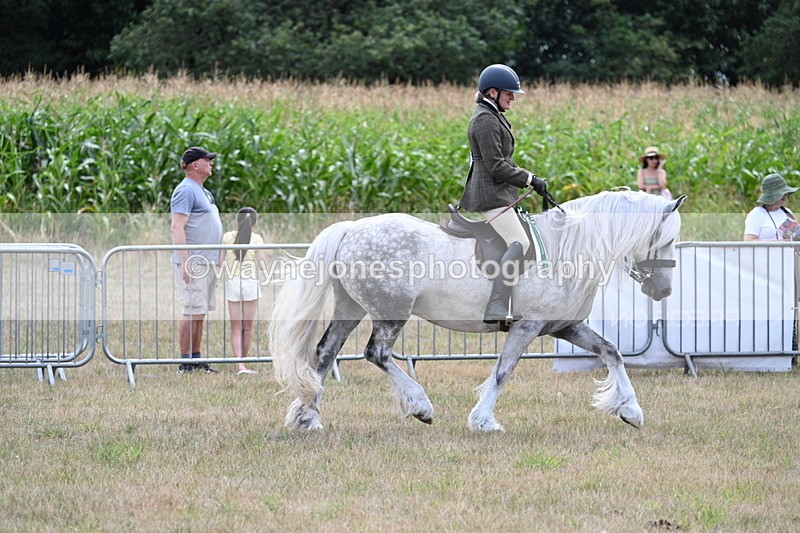 WJ7_5592 - Class 12 Ridden Cob