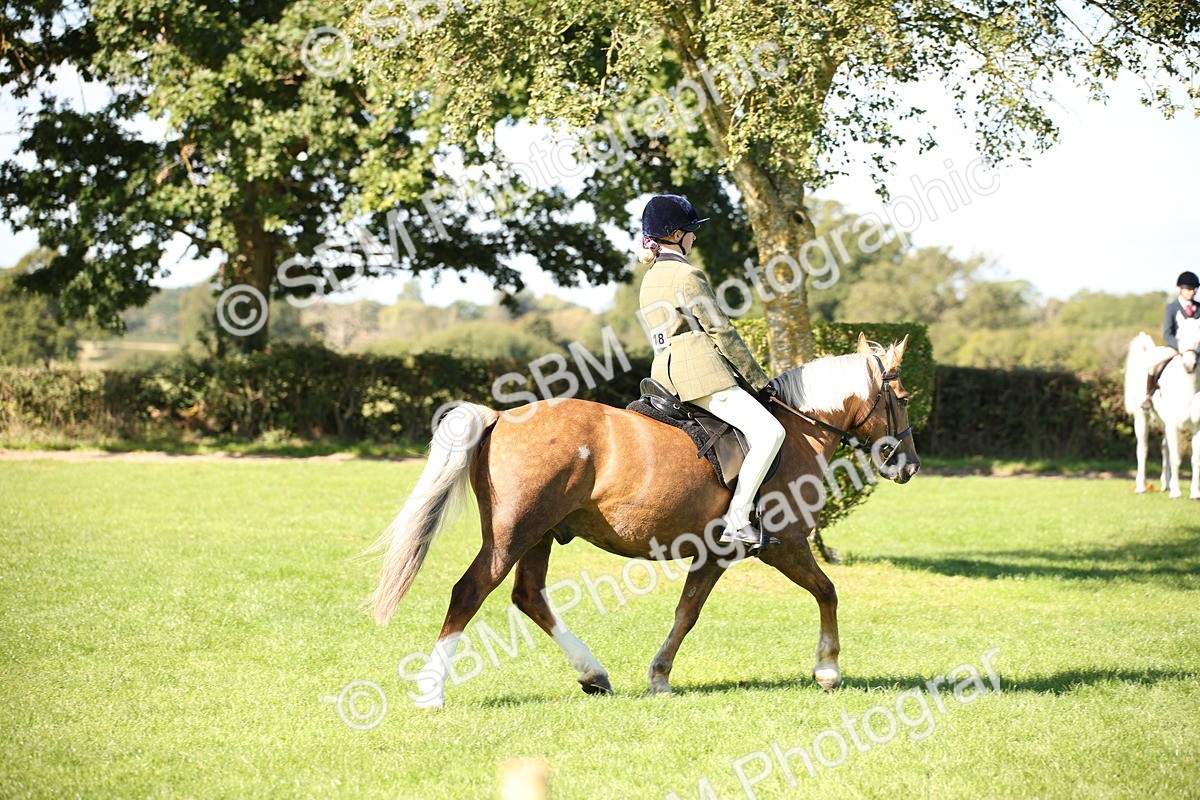 SBM_38980 - S11 - Best Ridden Horse & Pony