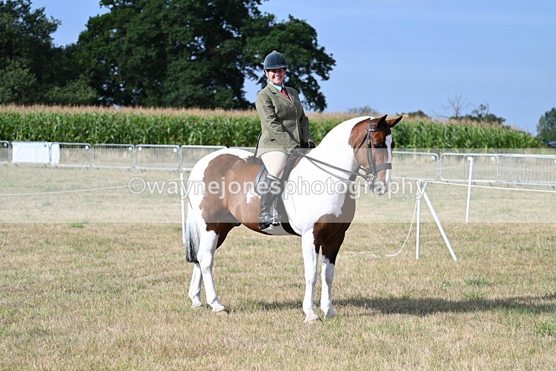 WJ7_2594 - Class 8 Ridden Tack & Turnout