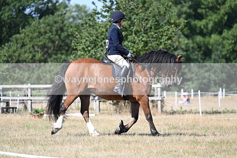 WJ7_0731 - Time 12:03 to 12:23