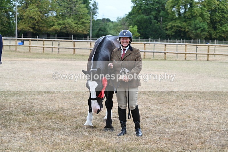 WJ7_0213 - Gelding Champs