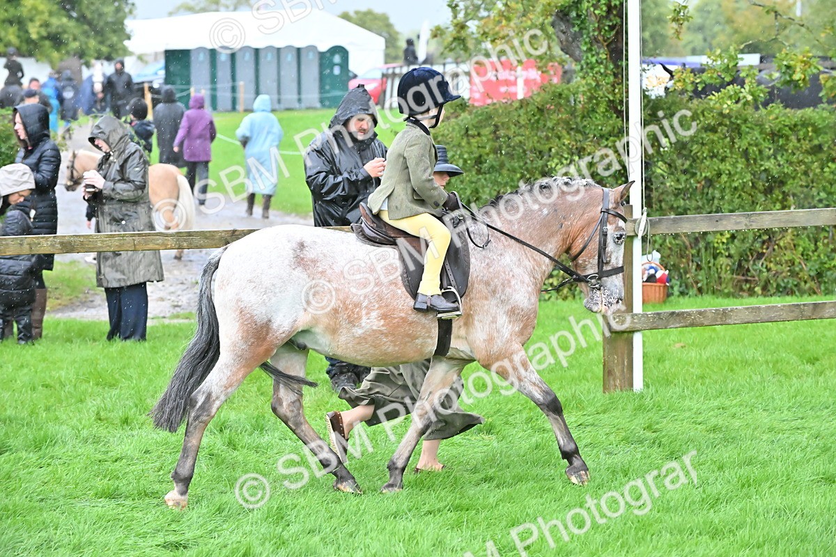 SBM_36475 - S18 - Novice & Newcomer Lead Rein Pony