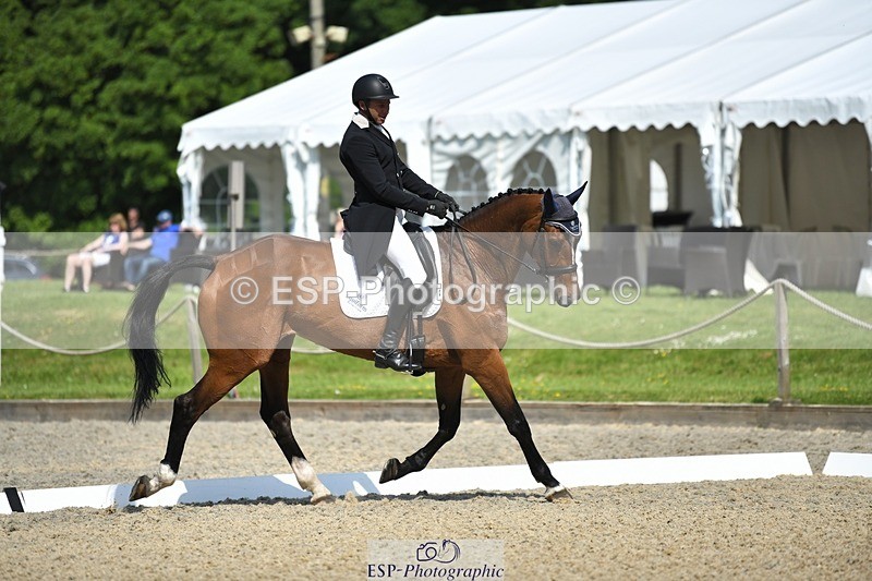 230525-102445-01704 - 312-J'ADORE_SALSA-Michael_Owen-WEDTrotUp+DR