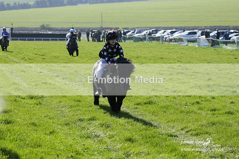 PtP 190322 32 - Wilton Hunt PtP Milborne St Andrew 19/03/22