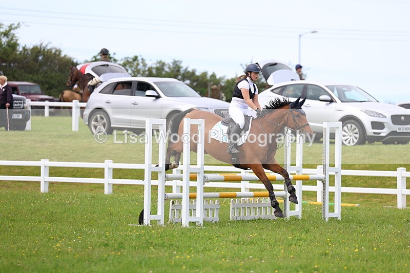 3E7A1745 - Class 13: Senior British Novice/90cm open