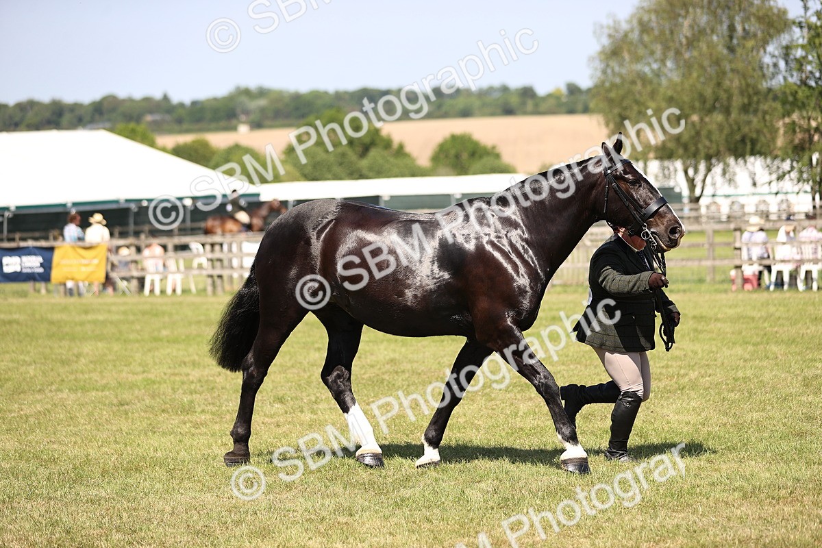 SBM_17936 - Class 81-83 - TSR Ridden Amateur of the Year - Horses