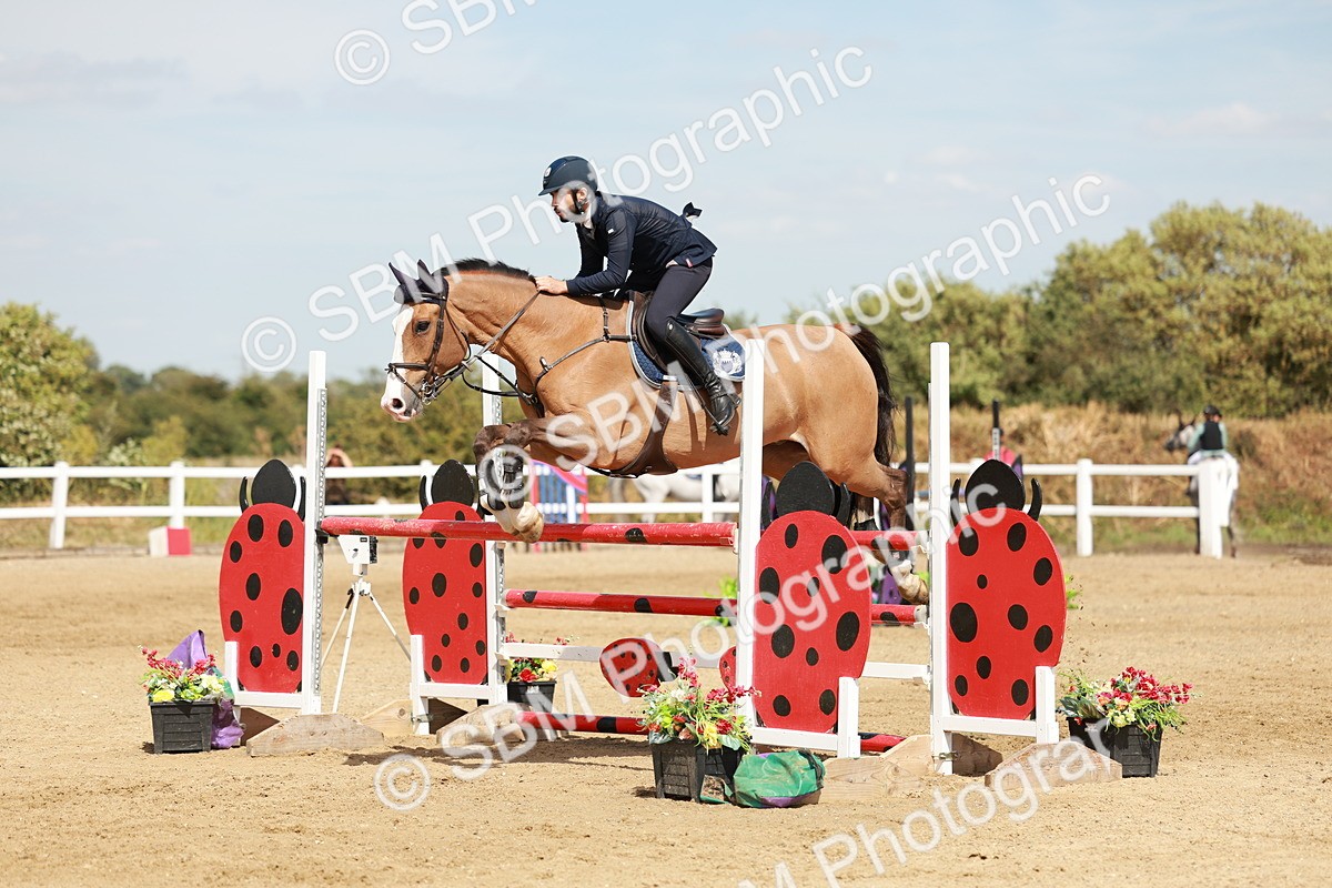 SBM_008046 - Class 4 - Senior Foxhunter - 1.20m Open