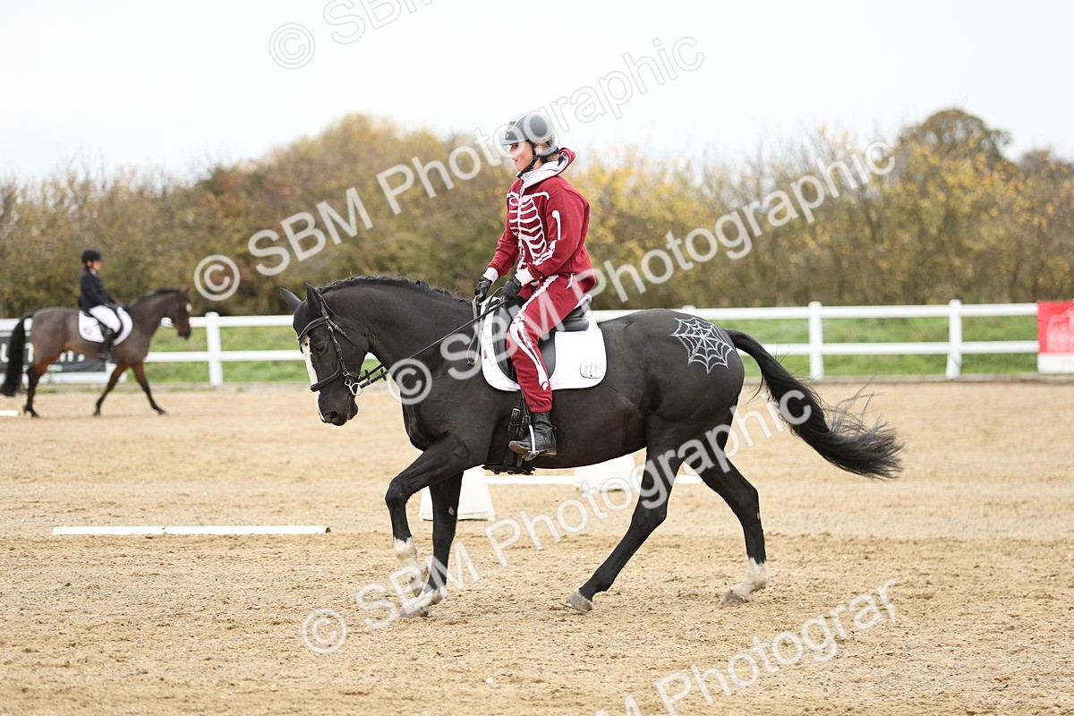 SBM_003716 - Class 9-12 - Novice 2 Elementary 3