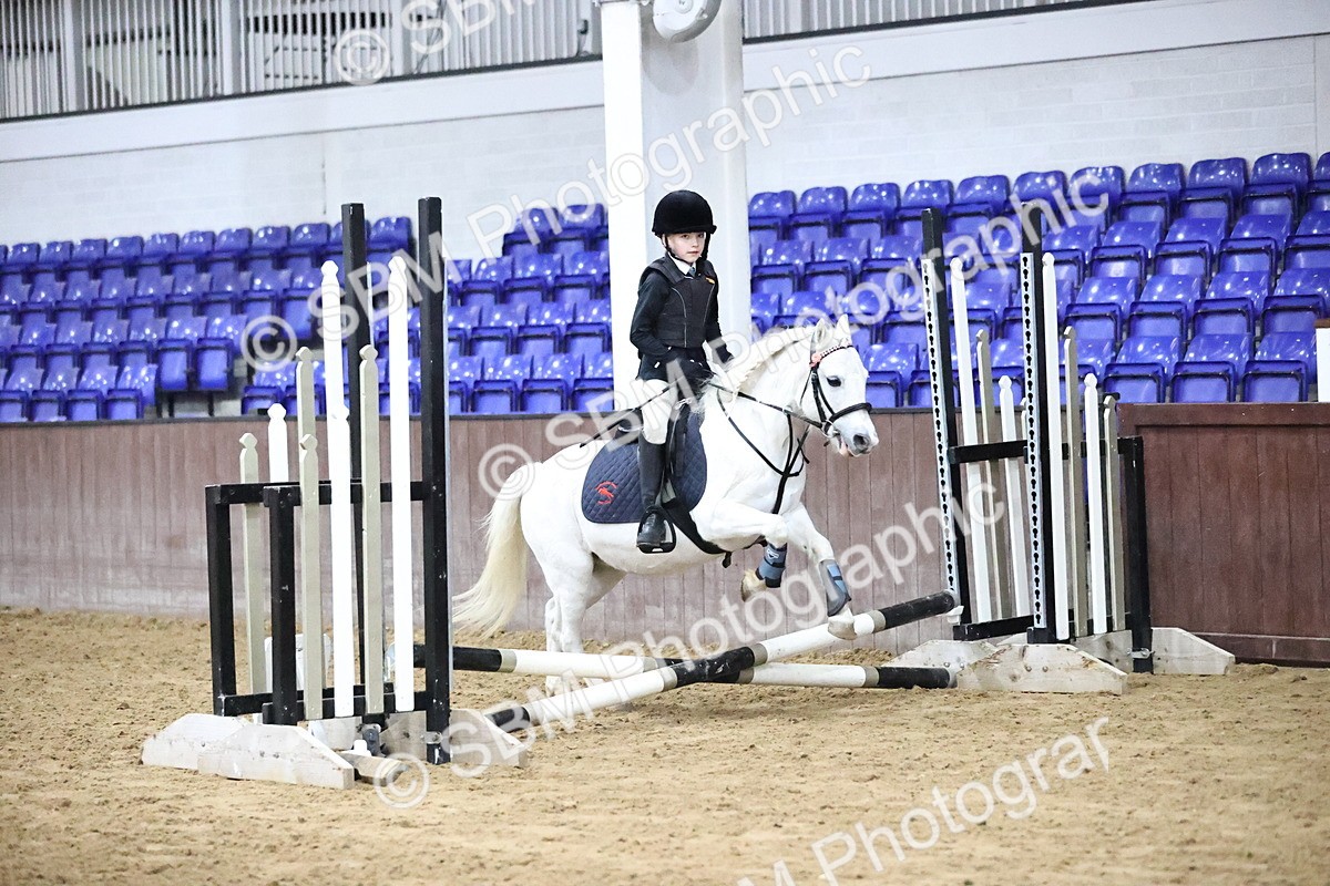 SBM_000061 - Class 1 - Fox Farriers 30cm