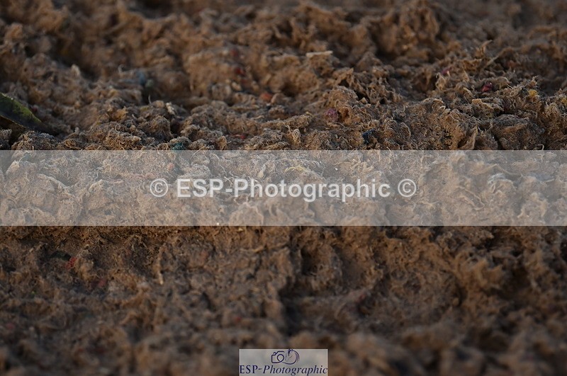 231104A-135430-01962 - Cls 10 Medium 61