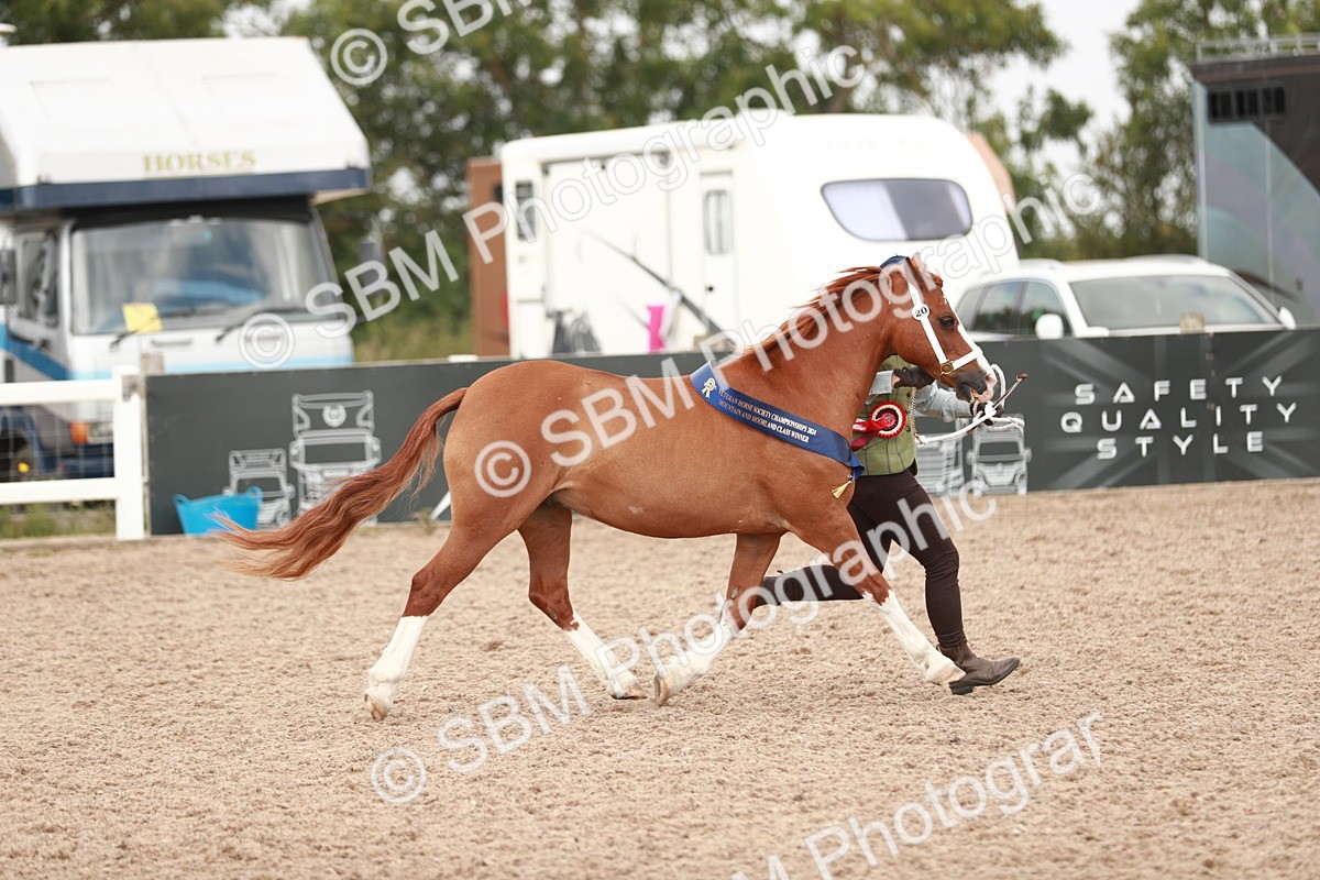 SBM_12568 - Class 207 IH M&M